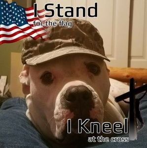 Meet your Posher, Ian